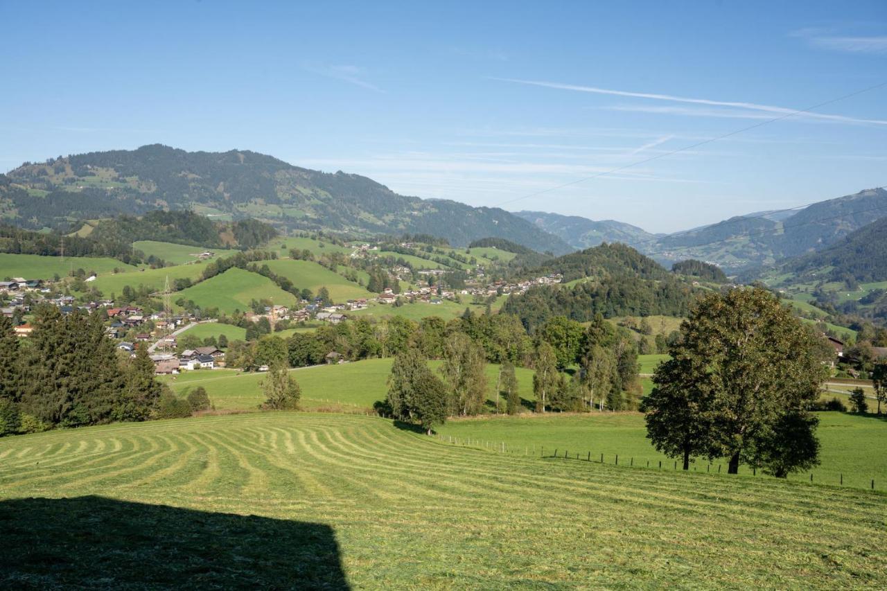 Knollgut Ferienwohnung Buchberg Goldegg Exteriör bild